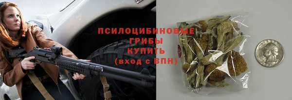 дмт Ельня