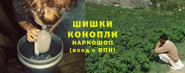 прущие грибы Мегион
