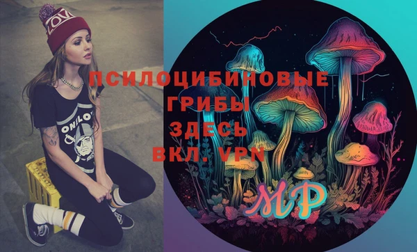 прущая мука Елизово