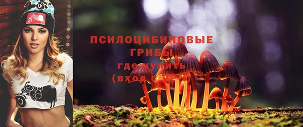 кокаин премиум Магас