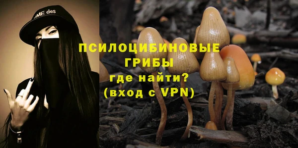 ECSTASY Медногорск