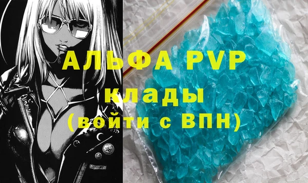 прущие грибы Мегион