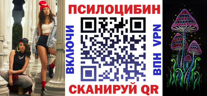 наркотики  kraken онион  Псилоцибиновые грибы мицелий  Жердевка 